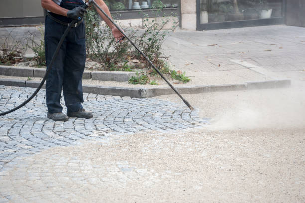 Best Fence Cleaning  in USA